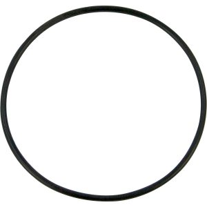O-ring packning under förfiltret på reningsverk -Black-Line mf