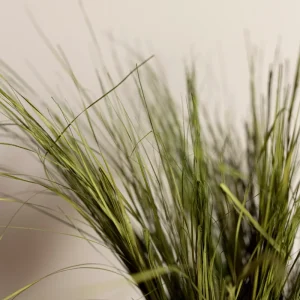 Flora grossist, konserverade strip gräs 100g, torkade blommor, grön