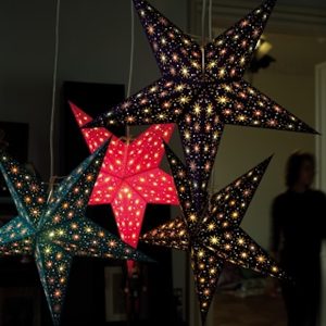 Julstjärna – Starlet