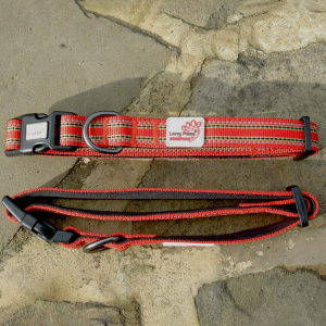 Hundhalsband, Comfort collection, orange