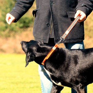 Trafikhandtag hundkoppel, Comfort Collection