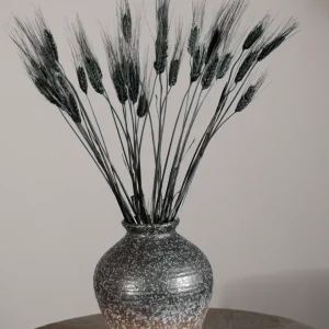 Flora Grossist Vete Triticum, 50-60 cm, Torkade Blommor, Svart